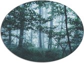WallClassics - Dibond Ovaal - Lichte Mist in een Groen Bos - 96x72 cm Foto op Ovaal (Met Ophangsysteem)