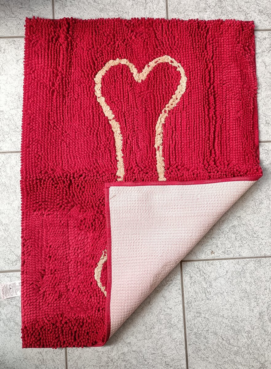 1 x de Dirty Dog Droogloopmat - Hond - Rood - 90x66 cm
