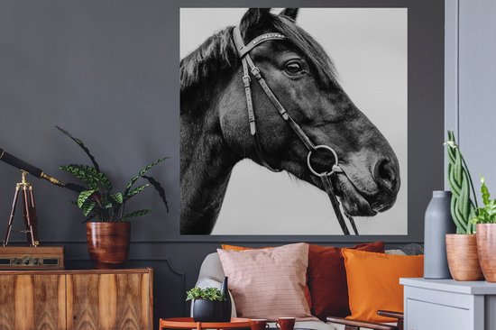 Stickers Stickers muraux - Cheval - Licol - Portrait - 120x120 cm - Film adhésif XXL