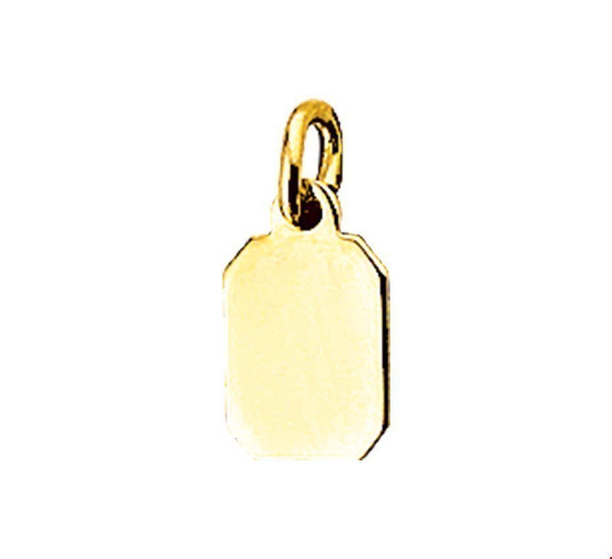 Geelgouden Graveerhanger 4006547