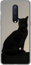 Geschikt voor OnePlus 8 hoesje - Kat - Donker - Schutting - Siliconen Telefoonhoesje