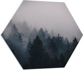 WallClassics - Feuille de mousse PVC Hexagone - Cime des arbres foncés - 70x60,9 cm Photo sur Hexagone (avec système d'accrochage)
