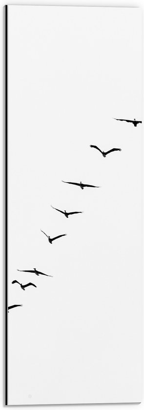 WallClassics - Dibond - Schuine Lijn van Zwarrte Vogels op Witte Achtergrond - 20x60 cm Foto op Aluminium (Met Ophangsysteem)
