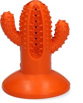 AFP Dental Chews-Cactus Medium Rubber Orange