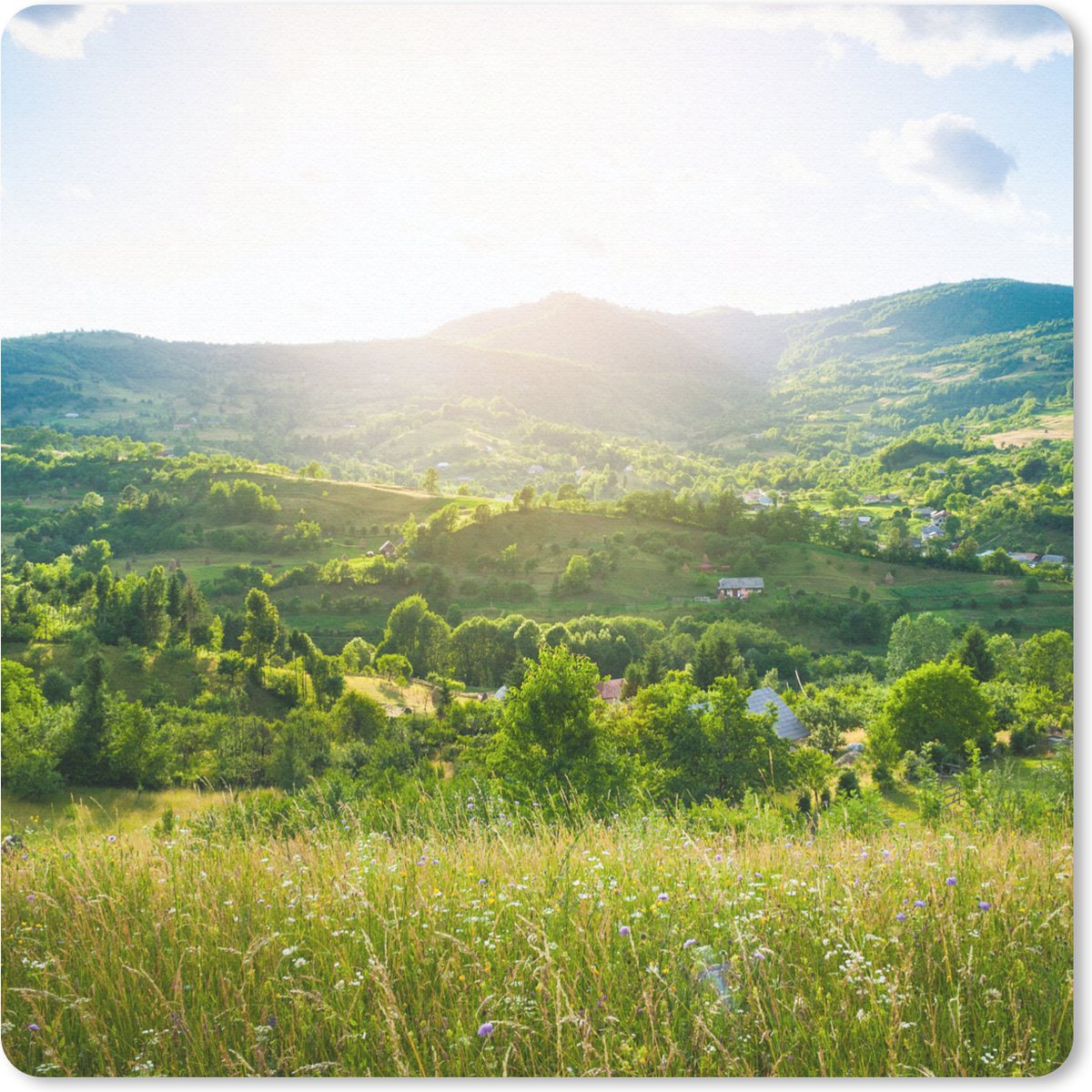 Muismat 20x20 cm - Mousepad Bos - Landschap - Zon - Natuur - Zonsopgang - Muismatten