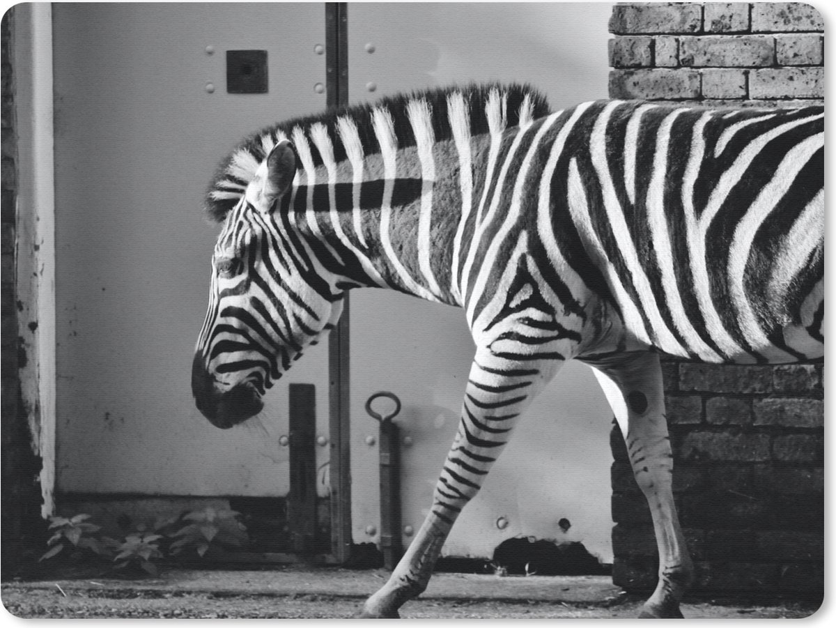 Muismat 23x19 cm - Mousepad Zebra - Muur - Deur - Dieren - Zwart wit - Muismatten