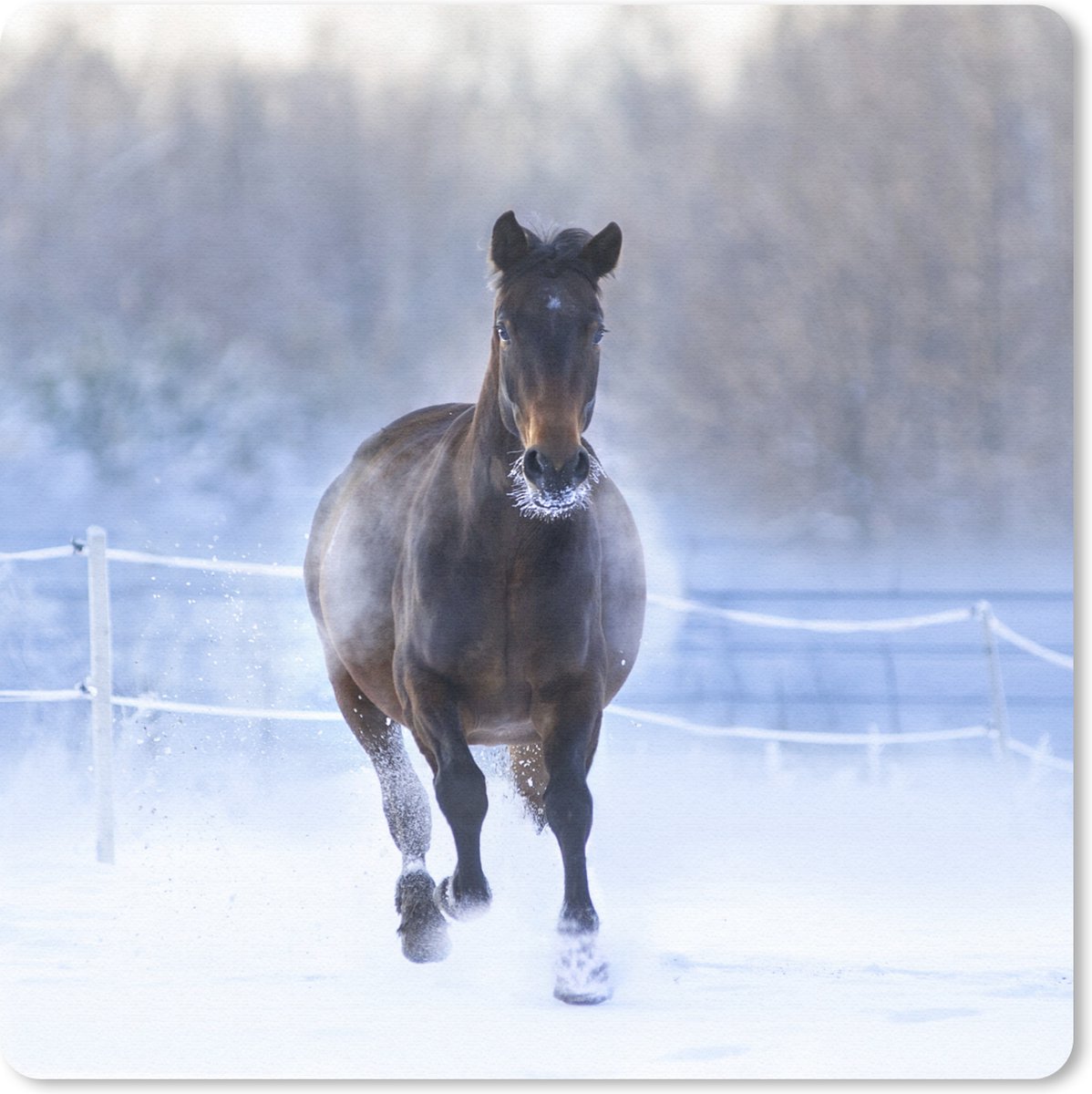 Muismat 20x20 cm - Mousepad Paard - Sneeuw - Winter - Hek - Muismatten