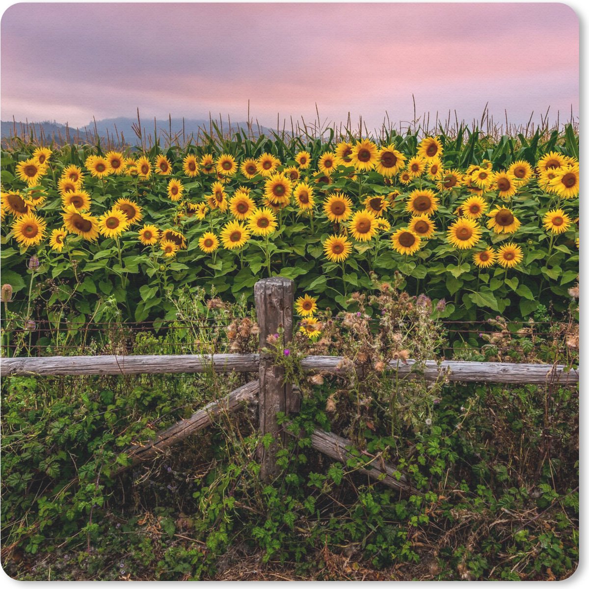 Muismat 30x30 cm - Mousepad Zonnebloem - Bloemen - Planten - Muismatten