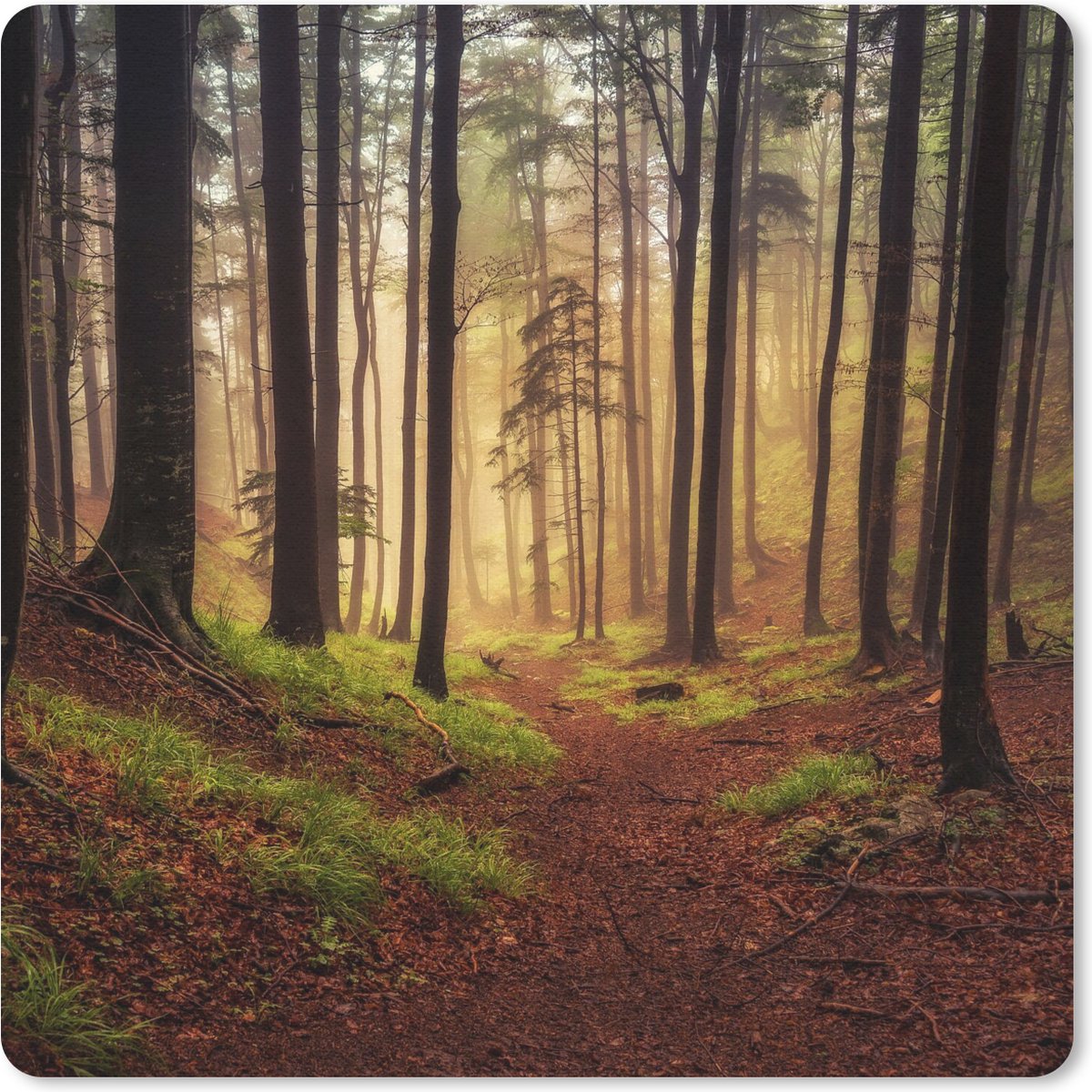 Muismat 20x20 cm - Mousepad Bomen - Natuur - Bos - Muismatten