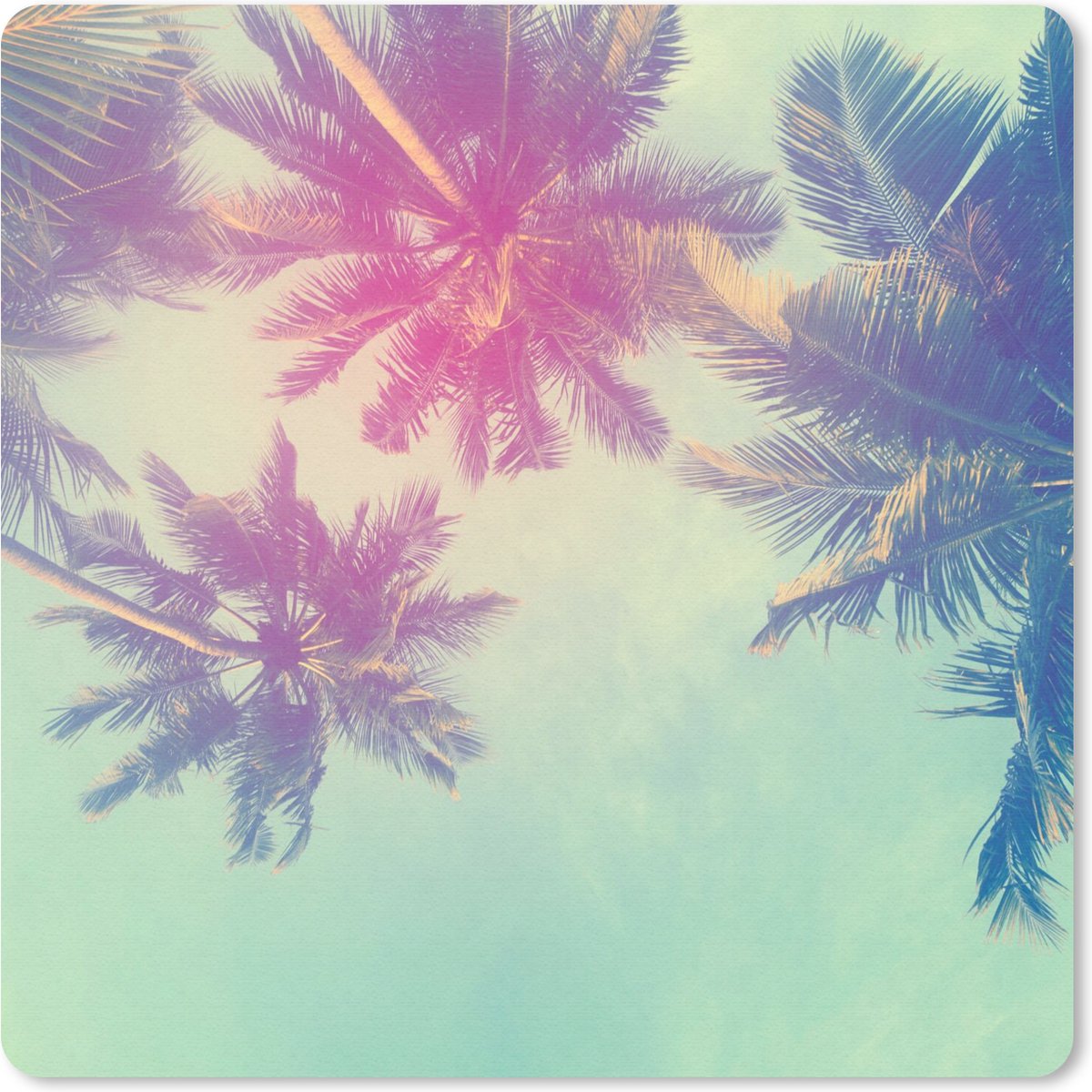 Muismat 20x20 cm - Mousepad Palmbomen - Palmbladeren - Palm - Zomer - Tropisch - Muismatten