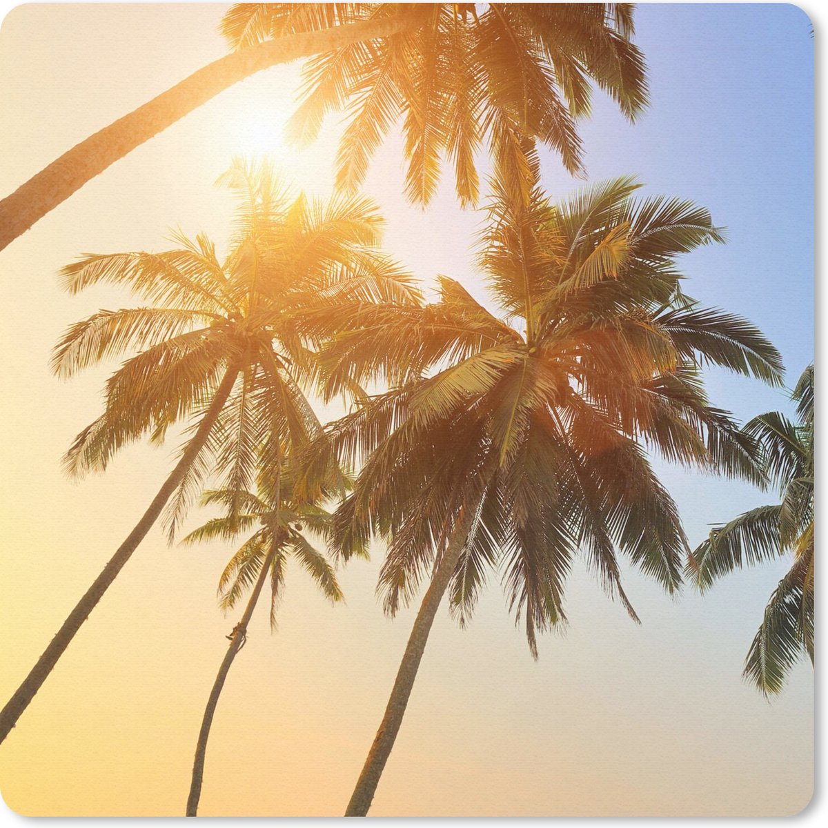 Muismat 30x30 cm - Mousepad Palmboom - Zon - Zomer - Tropical - Muismatten