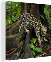 Ocelot dans la jungle du Costa Rica toile 2cm 90x90 cm - Tirage photo sur toile (Décoration murale salon / chambre) / Animaux sauvages Peintures sur toile