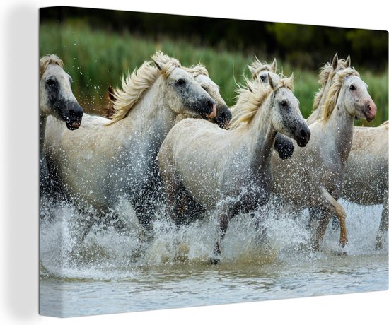 Troupeau de chevaux blancs dans l'eau en France toile 2cm 30x20 cm - petit - Tirage photo sur toile (Décoration murale salon / chambre) / Peintures sur toile Animaux de la ferme