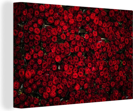 Canvas Schilderij Bloemen - Rozen - Rood - 30x20 cm - Wanddecoratie