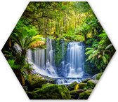 Hexagon wanddecoratie - Kunststof Wanddecoratie - Hexagon Schilderij - Jungle - Waterval - Australië - Planten - Natuur - 37x32 cm