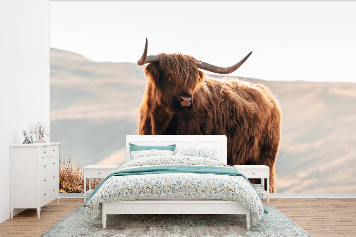 Behang - Fotobehang Schotse hooglander - Dieren - Landelijk - Landschap - Koe - Natuur - Breedte 400 cm x hoogte 300 cm