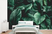 Behang kinderkamer - Fotobehang Jungle - Bladeren - Tropisch - Planten - Natuur - Breedte 360 cm x hoogte 240 cm - Kinderbehang