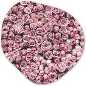 Organische Wanddecoratie - Kunststof Muurdecoratie- Organisch Schilderij - Bloemen - Rozen - Natuur - Roze - Botanisch- 90x90 cm - Organische spiegel vorm op kunststof