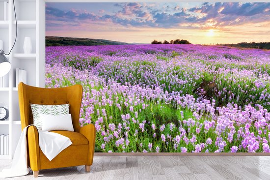 Papier peint - Papiers Papier peint photo - Mer de Fleurs Violette - Largeur 330 cm x Hauteur 220 cm