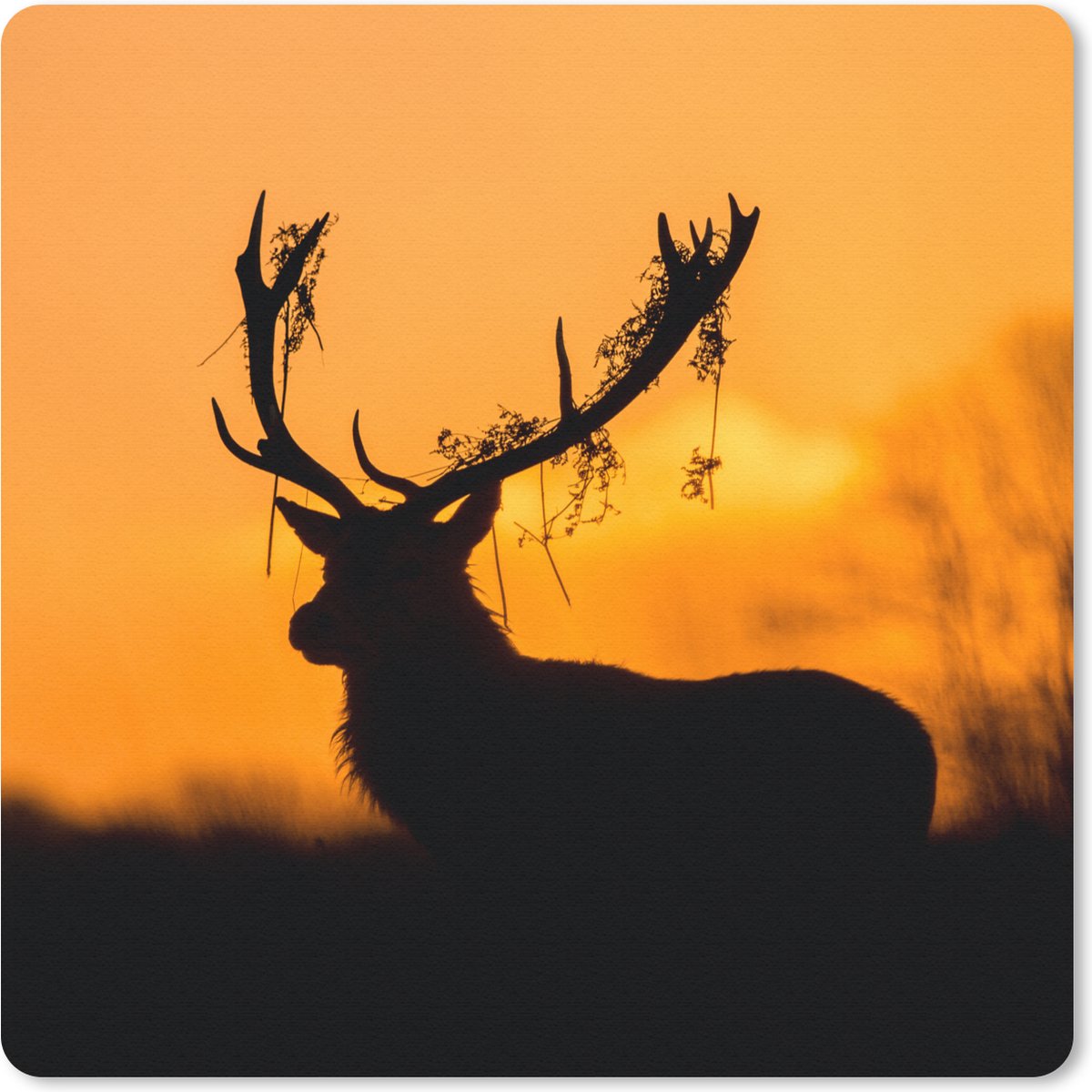 Muismat 20x20 cm - Mousepad Hert - Oranje - Silhouet - Dieren - Natuur - Muismatten