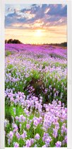 Deursticker Bloemen - Lavendel - Paars - Lucht - Zonsondergang - Weide - Natuur - 90x235 cm - Deurposter