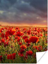 Poster Zonsondergang - Klaprozen - Rood - Bloemen - Veld - Natuur - 60x80 cm