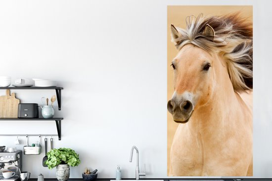 Poster Paarden - Dieren - Manen - Portret