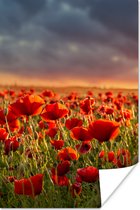 Poster Zonsondergang - Klaprozen - Rood - Bloemen - Veld - Natuur - 20x30 cm