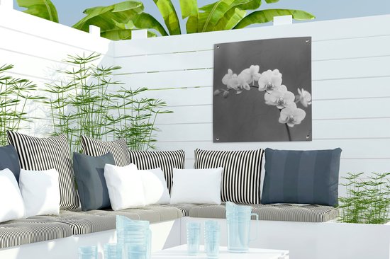 Posters de jardin Orchidée - Fleurs - Plante - Wit - Violet - 50x50 cm - Toile jardin - Affiche extérieure