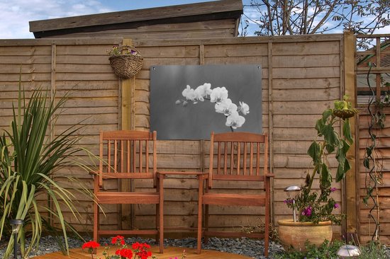 Décoration de jardin Orchidée - Fleurs - Plante - Wit - Violet - 60x40 cm - Poster jardin - Toile jardin - Poster extérieur