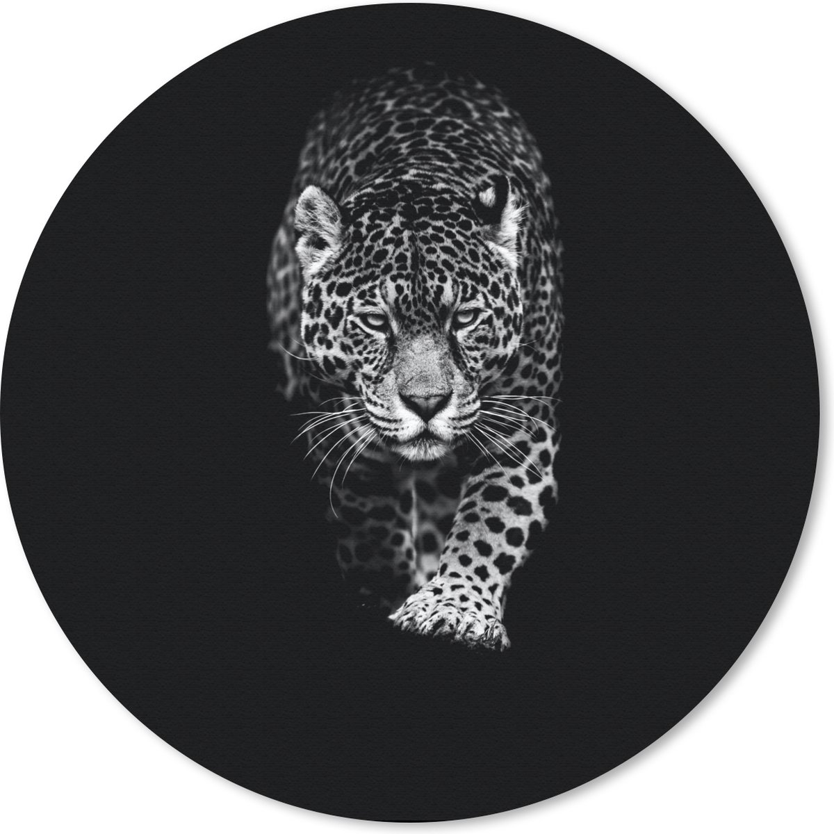 Muismat rond 30x30 cm - Mousepad Dieren - Zwart - Luipaard - Wit - Wild - Ronde muismatten