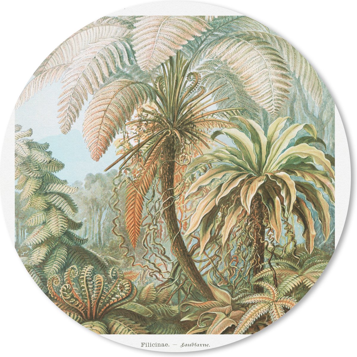 Muismat rond 30x30 cm - Mousepad Vintage - Oude meesters - Varens - Planten - Natuur - Ronde muismatten