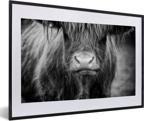 Fotolijst incl. Poster - Schotse hooglander - Koe - Zwart - Wit - Dieren - 60x40 cm - Posterlijst