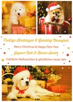 Kerst- en nieuwjaarskaarten - 10 stuks (2 designs) - inclusief enveloppen - thema honden & katten