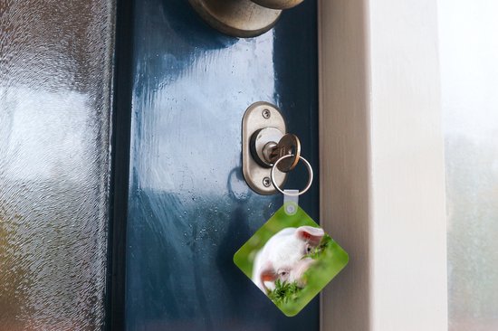 Porte-clés - Cadeaux - Cochon - Animaux - Porcelet - Plastique