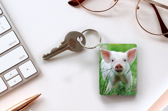 Porte-clés - Cochon - Animaux - Porcelet - Cadeaux à distribuer - Plastique - Cadeaux Sinterklaas - Cadeaux à distribuer pour les enfants - Cadeaux chaussures - Petits cadeaux