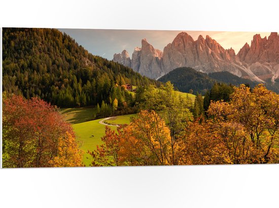 WallClassics - PVC Schuimplaat- Herfstig Landschap - 100x50 cm Foto op PVC Schuimplaat