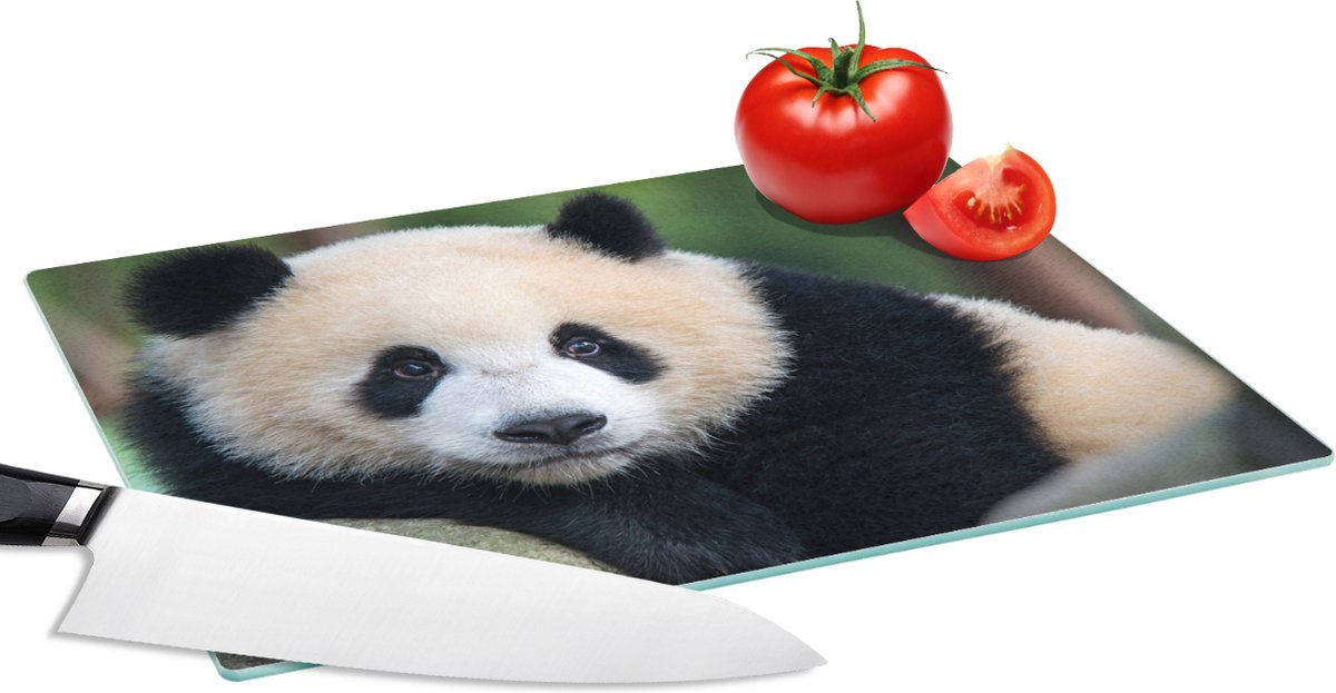 Glazen Snijplank - 28x20 - Panda - Wilde dieren - Portret - Steen - Snijplanken Glas