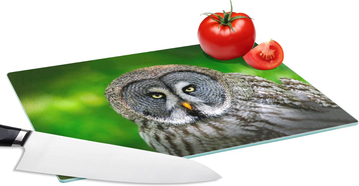 Glazen Snijplank - 28x20 - Vogel - Uil - Dieren - Bruin - Portret - Snijplanken Glas