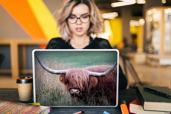 Laptop sticker - 15.6 inch - Schotse Hooglander - Hoorns - Gras - 36x27,5cm - Laptopstickers - Laptop skin - Cover