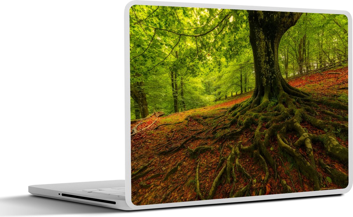 Laptop sticker - 13.3 inch - Boom - Bos - Herfstbladeren - 31x22,5cm - Laptopstickers - Laptop skin - Cover