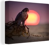 Un faucon pèlerin au lever du soleil Toile 80x60 cm - Tirage photo sur toile (Décoration murale salon / chambre)