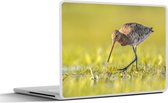 Laptop sticker - 14 inch - Vogels - Gras - Landschap - Grutto - 32x5x23x5cm - Laptopstickers - Laptop skin - Cover