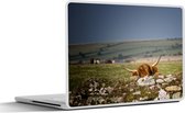 Laptop sticker - 17.3 inch - Schotse Hooglander - Stenen - Gras - 40x30cm - Laptopstickers - Laptop skin - Cover