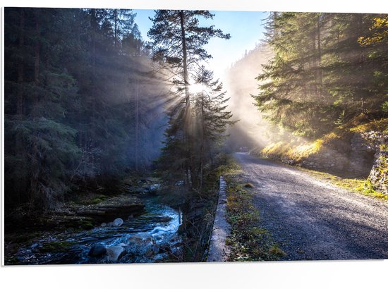 WallClassics - PVC Schuimplaat- Zonnestralen door Bomen bij Weg - 75x50 cm Foto op PVC Schuimplaat