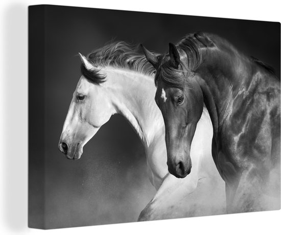 Peinture sur toile - Animaux - Paarden - Nature - Décoration d'intérieur - Impression sur toile - 120x80 cm - Tableau sur toile - Salon