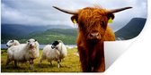 Muurstickers - Sticker Folie - Schotse hooglander - Licht - Schapen - 160x80 cm - Plakfolie - Muurstickers Kinderkamer - Zelfklevend Behang - Zelfklevend behangpapier - Stickerfolie