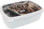 Broodtrommel Wit - Lunchbox - Brooddoos - Schotse hooglander - Verf - Koe - 18x12x6 cm - Volwassenen