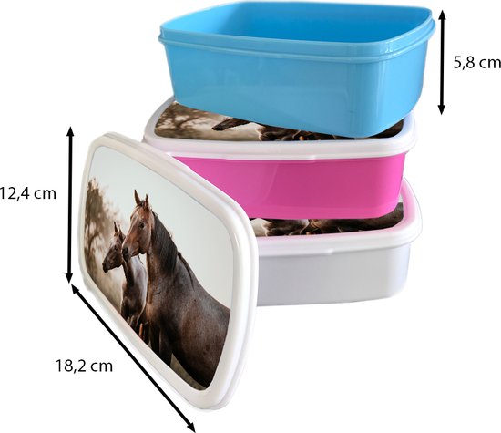 Boîte à pain Rose - Boîte à lunch - Boîte à pain - Paarden - Nature - Marron - 18x12x6 cm - Enfants - Fille - Cadeau Sinterklaas - Distribution cadeaux pour enfants - Chaussures cadeaux Sinterklaas