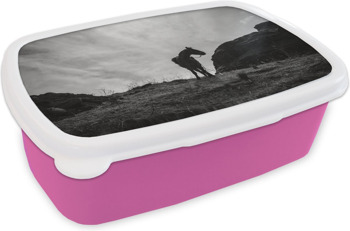 Broodtrommel Roze - Lunchbox - Brooddoos - Paard - Wolken - Weide - 18x12x6 cm - Kinderen - Meisje